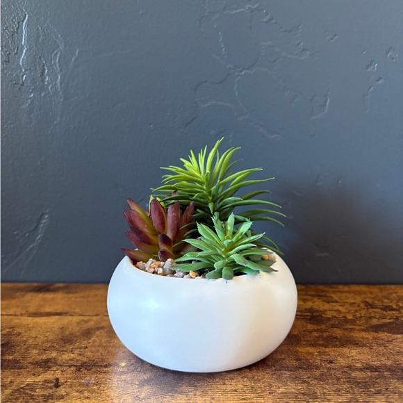 Modern White Ceramic Succulent Planter - Picture 1 of 4